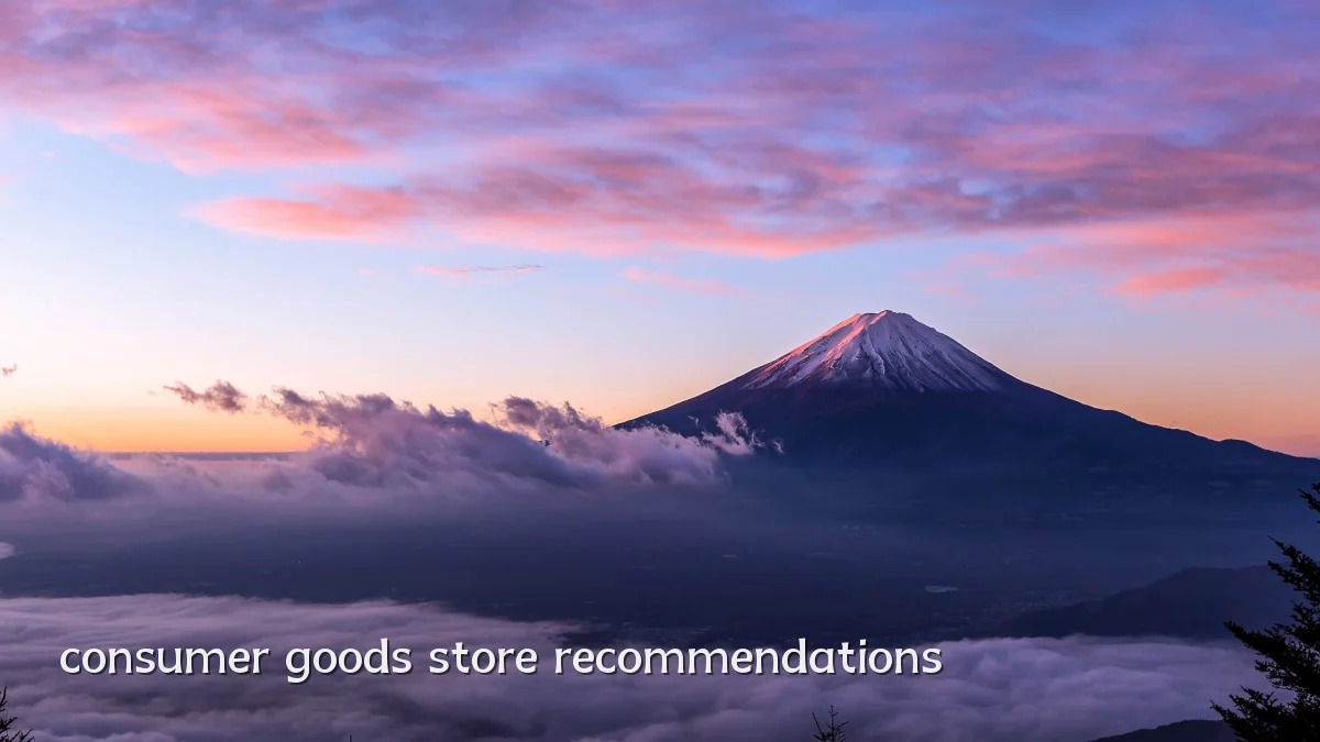consumer goods store recommendations