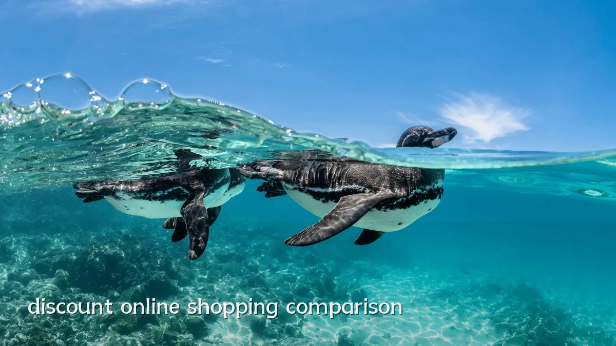 discount online shopping comparison