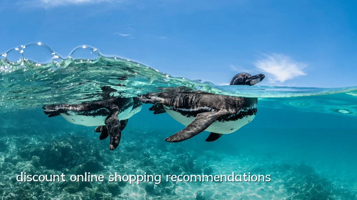 discount online shopping recommendations