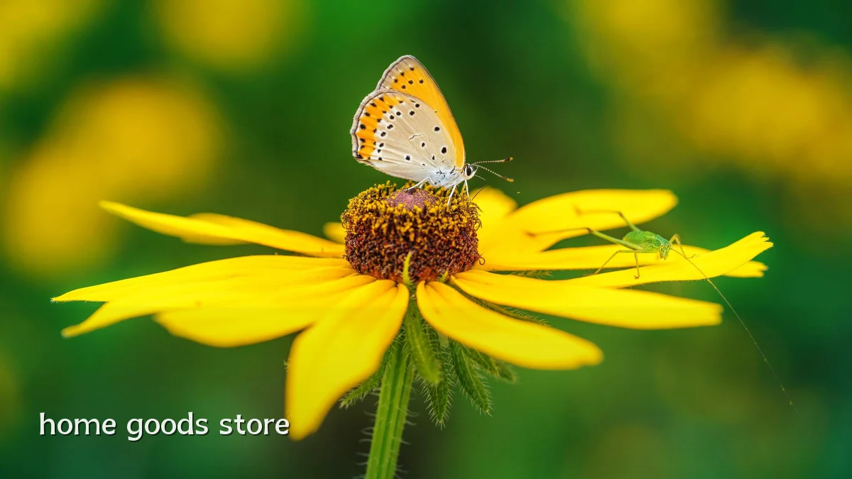 home goods store