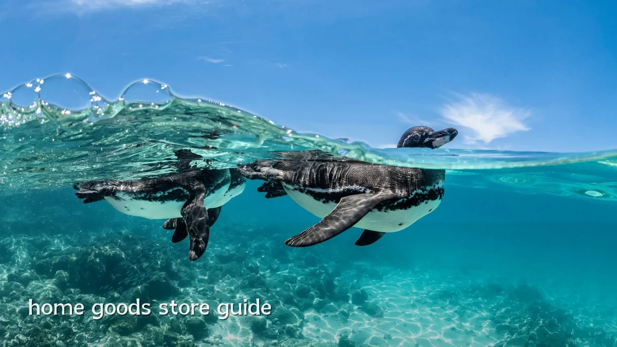 home goods store guide