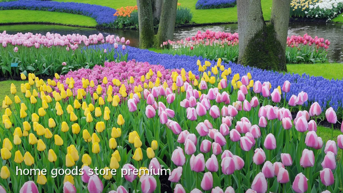 home goods store premium