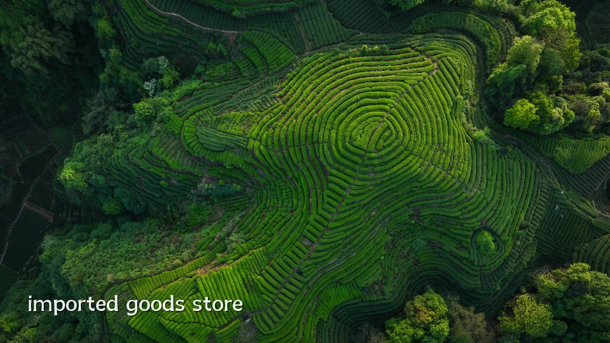 imported goods store
