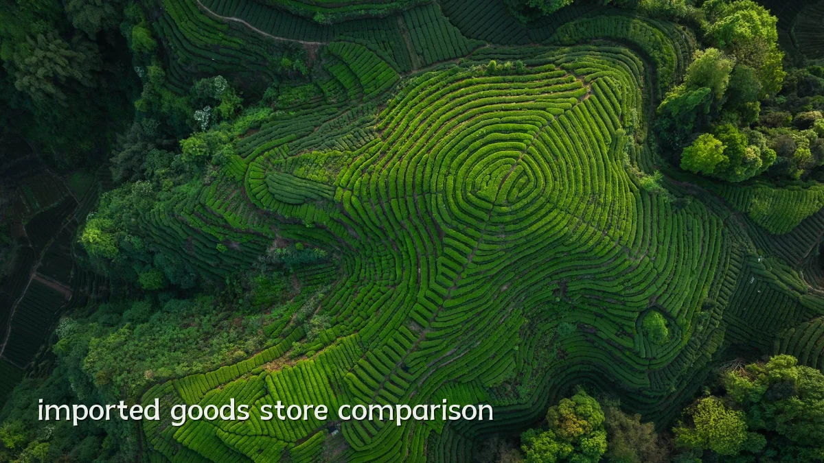 imported goods store comparison