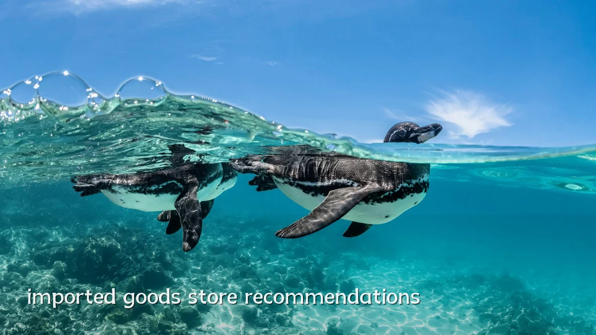 imported goods store recommendations