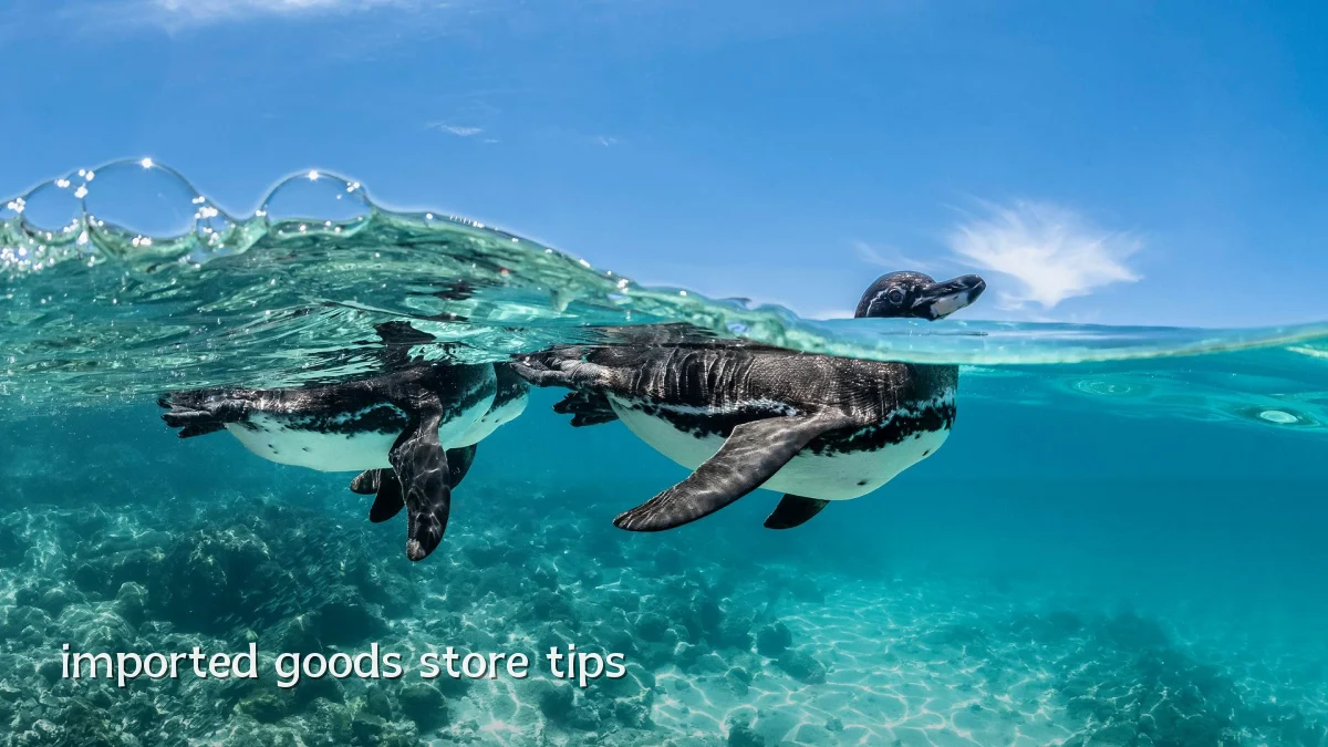 imported goods store tips