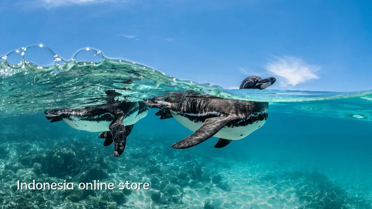 Indonesia online store