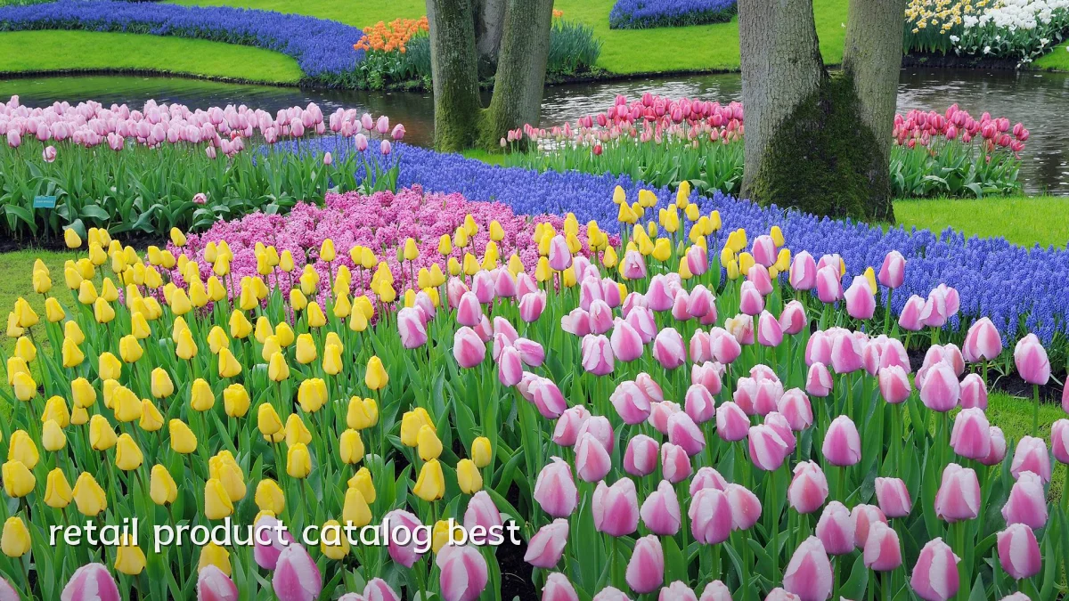 retail product catalog best