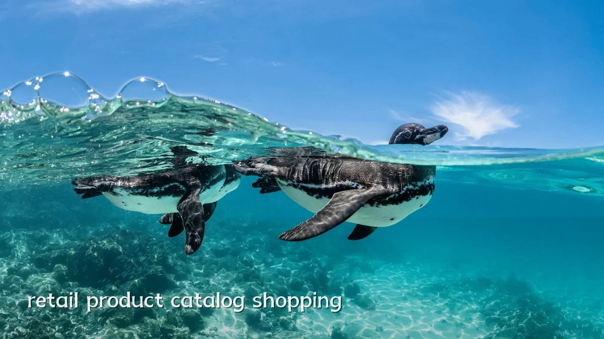 retail product catalog shopping