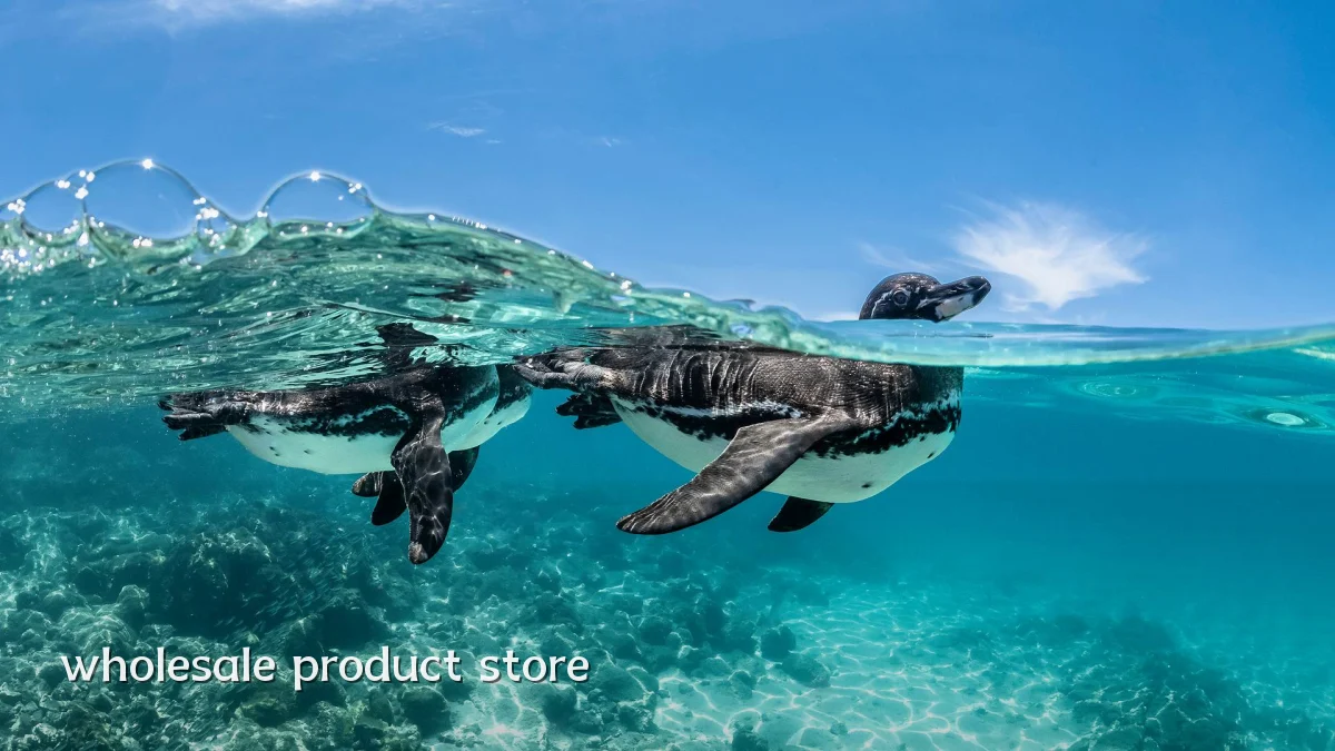 wholesale product store