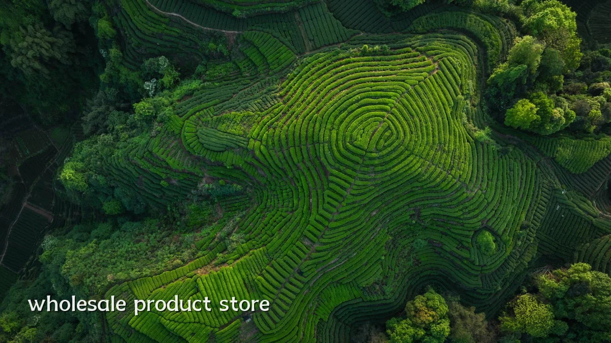 wholesale product store