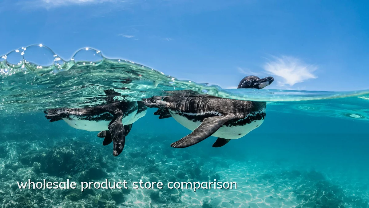 wholesale product store comparison