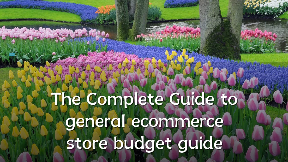 The Complete Guide to general ecommerce store budget guide