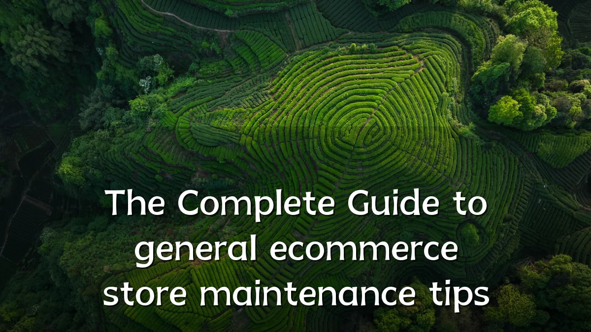 The Complete Guide to general ecommerce store maintenance tips