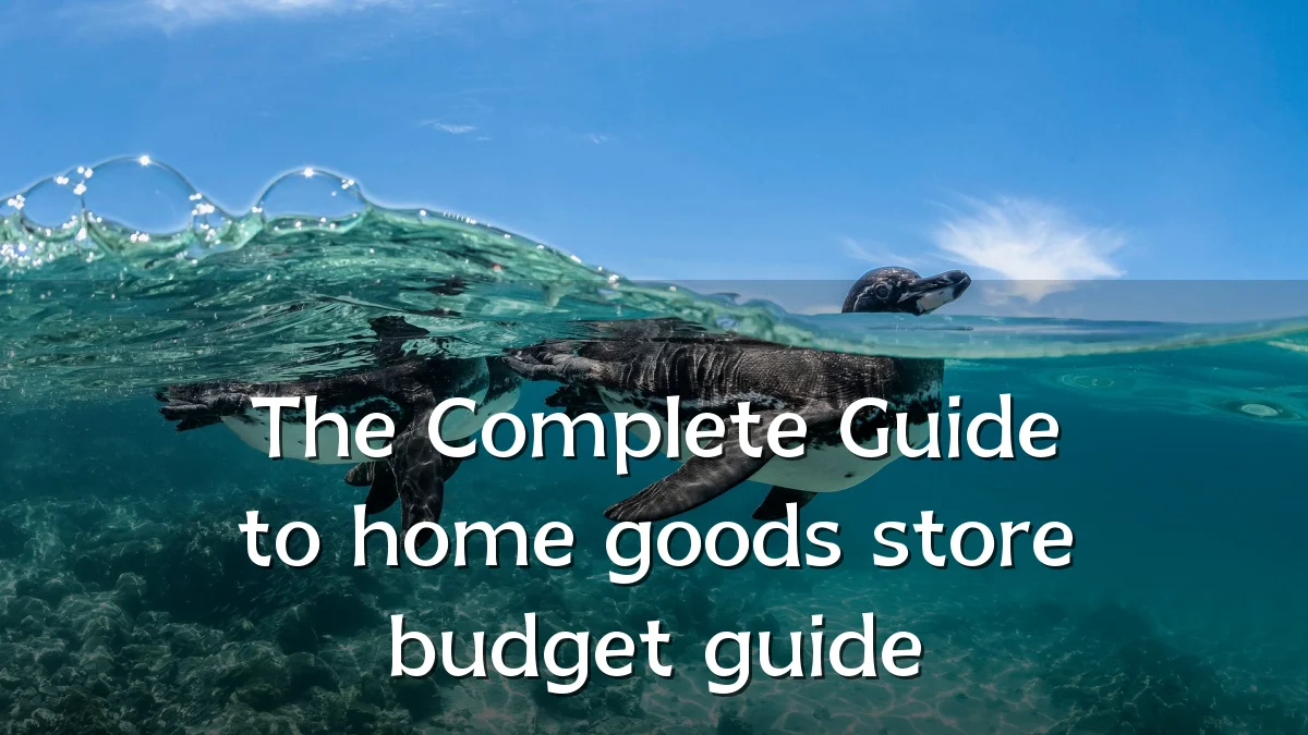 The Complete Guide to home goods store budget guide