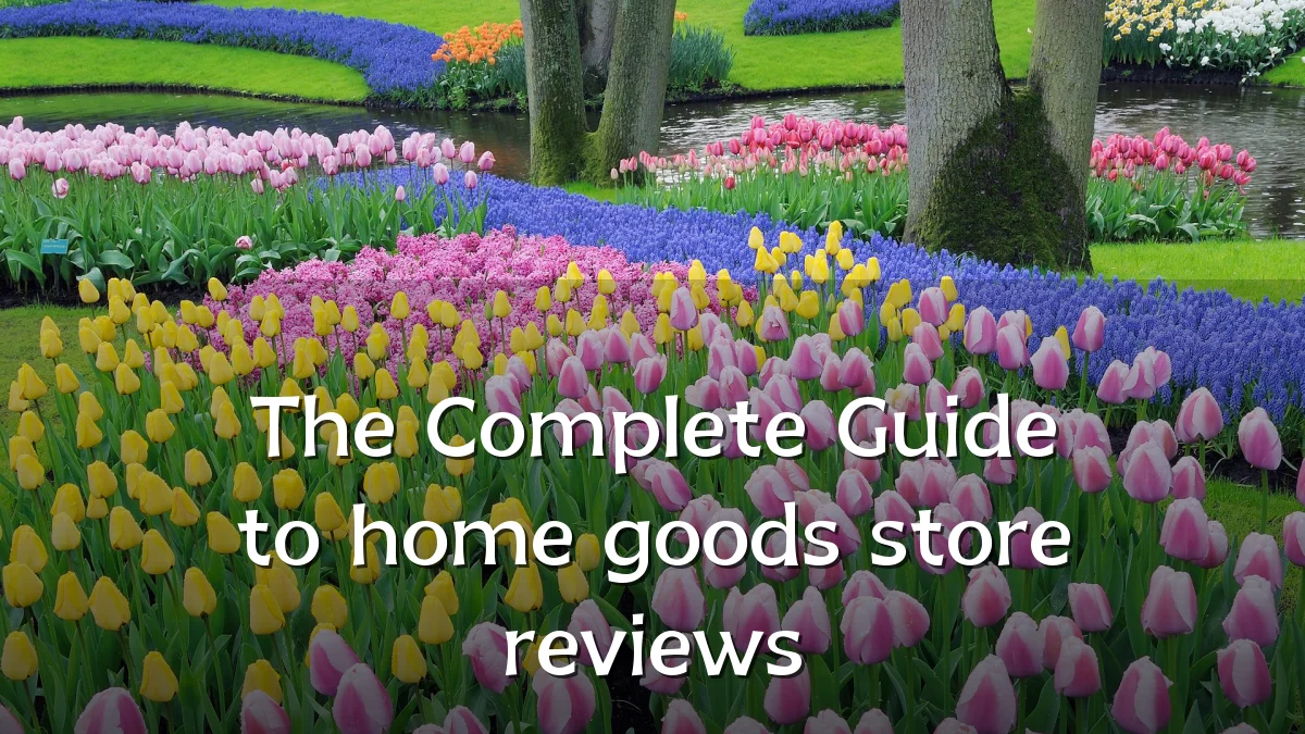 The Complete Guide to home goods store reviews