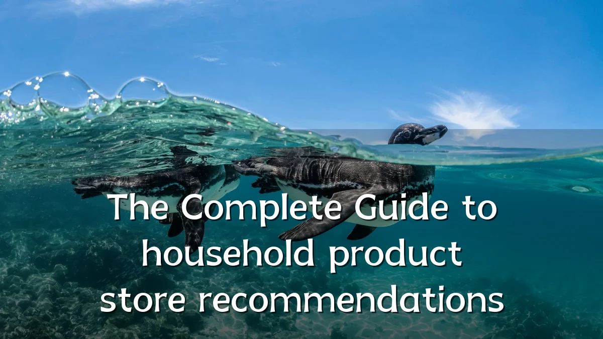 The Complete Guide to household product store recommendations