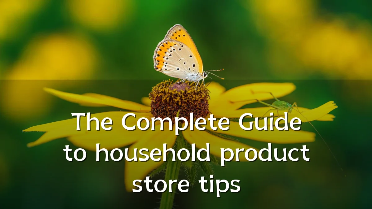 The Complete Guide to household product store tips