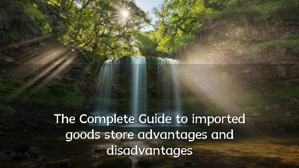 The Complete Guide to imported goods store advantages and disadvantages