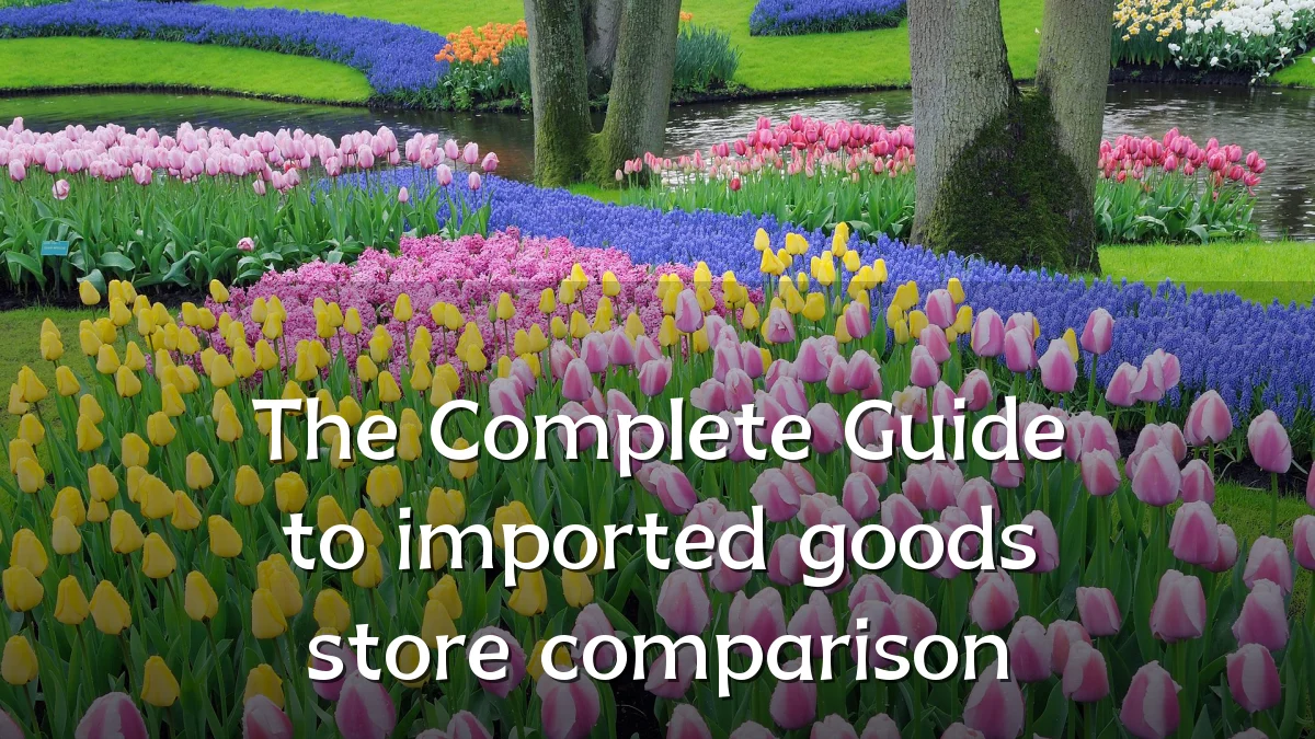The Complete Guide to imported goods store comparison