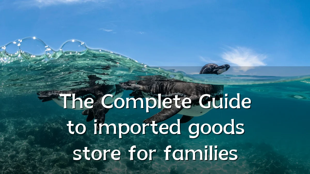 The Complete Guide to imported goods store for families