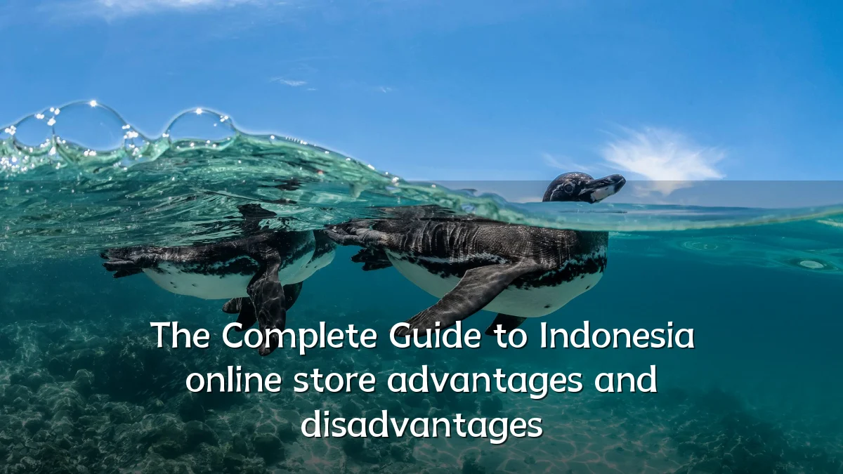 The Complete Guide to Indonesia online store advantages and disadvantages