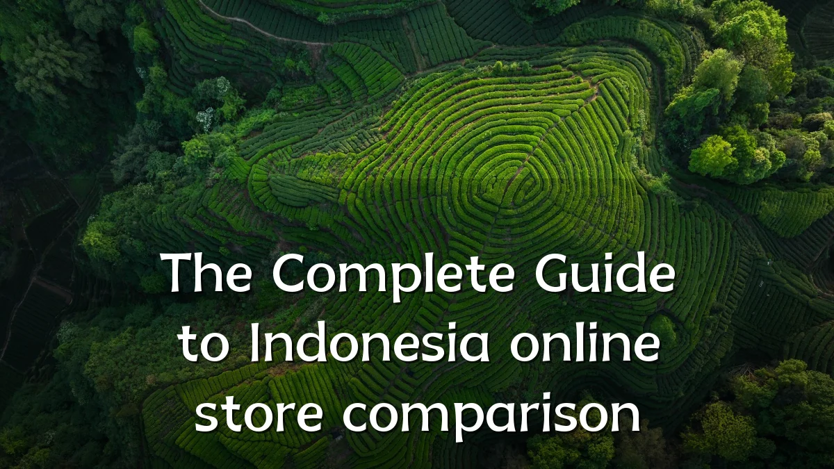 The Complete Guide to Indonesia online store comparison