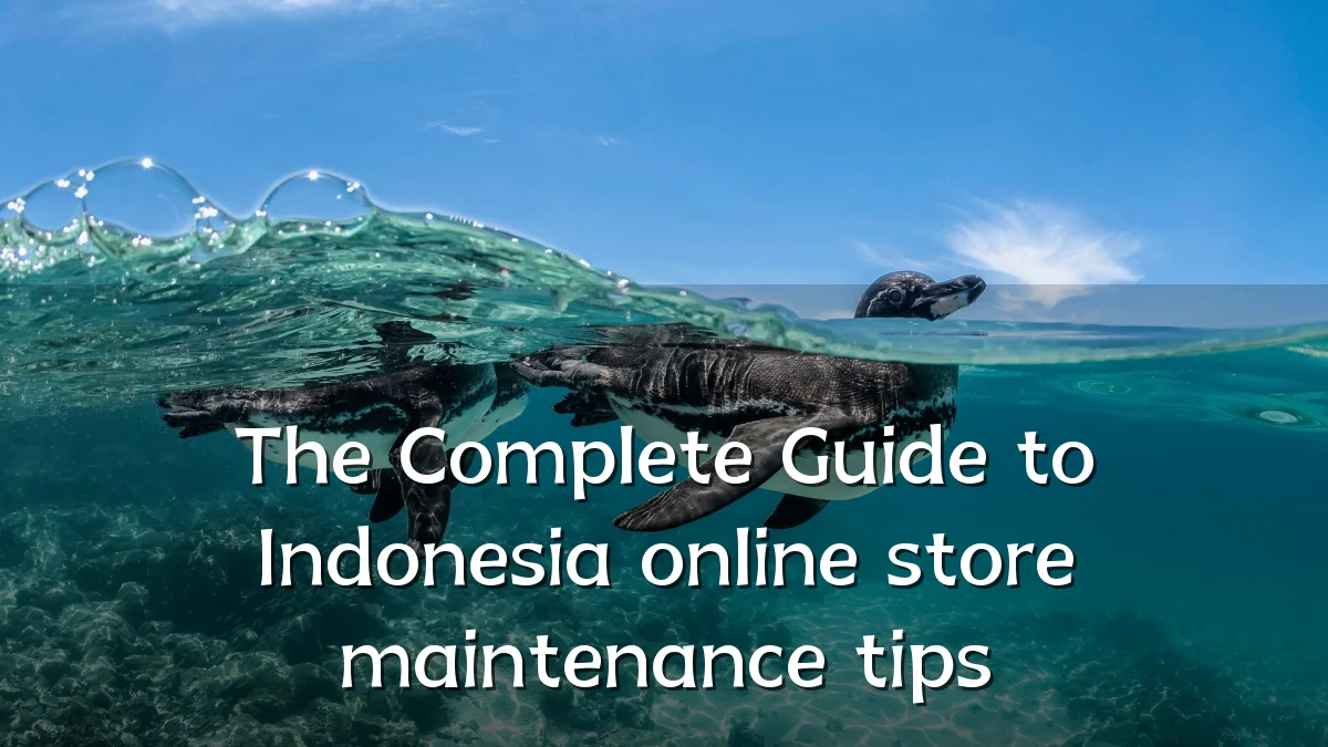 The Complete Guide to Indonesia online store maintenance tips