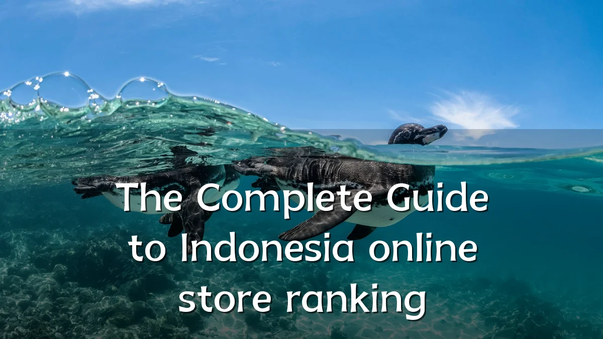 The Complete Guide to Indonesia online store ranking