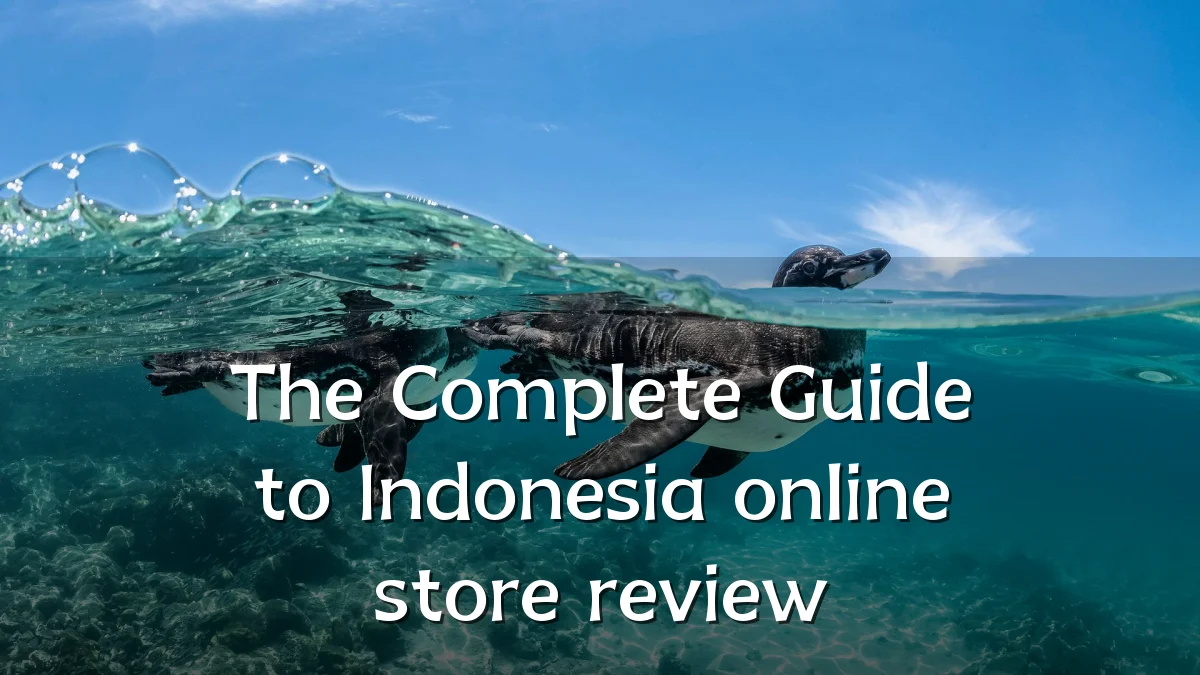 The Complete Guide to Indonesia online store review