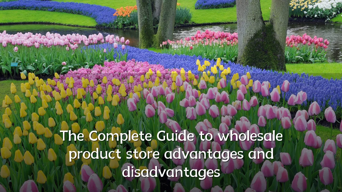 The Complete Guide to wholesale product store advantages and disadvantages