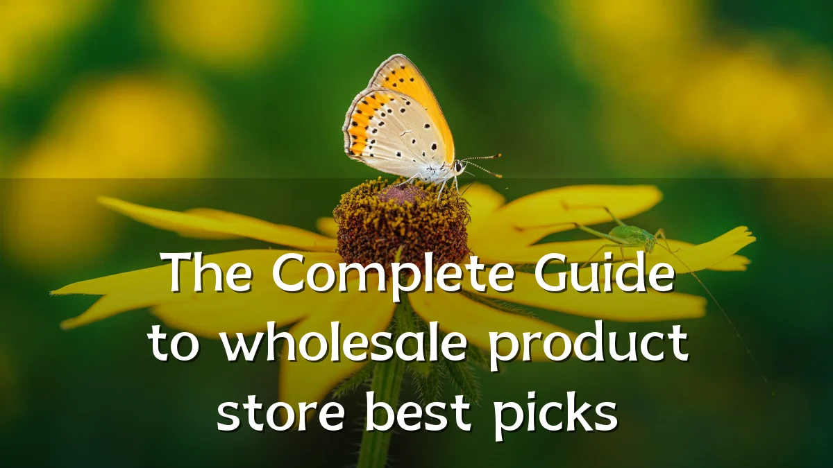 The Complete Guide to wholesale product store best picks