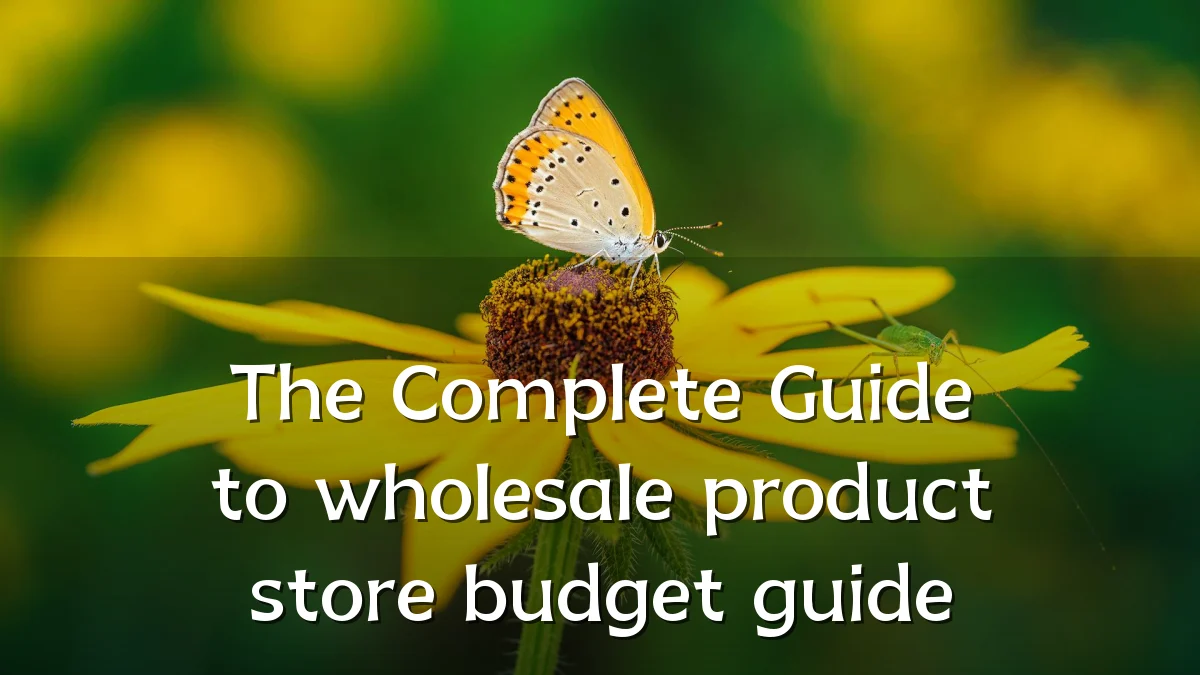 The Complete Guide to wholesale product store budget guide