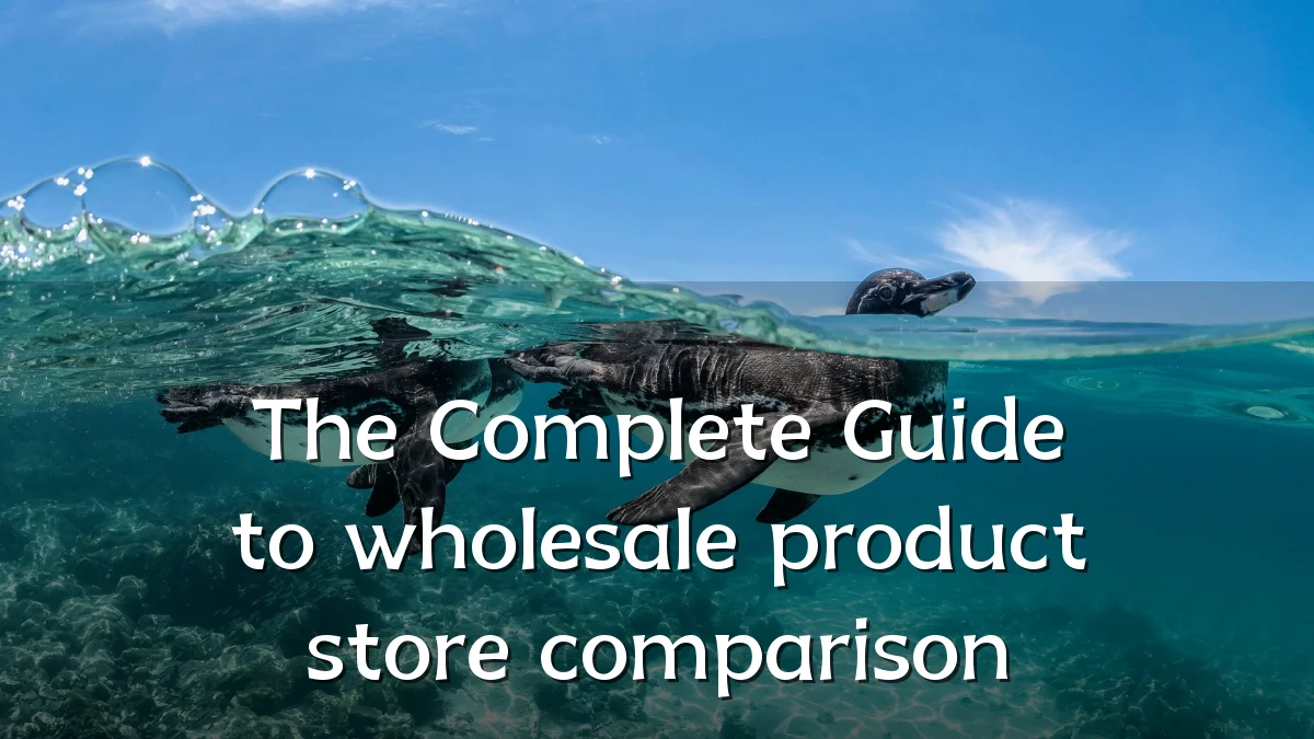 The Complete Guide to wholesale product store comparison