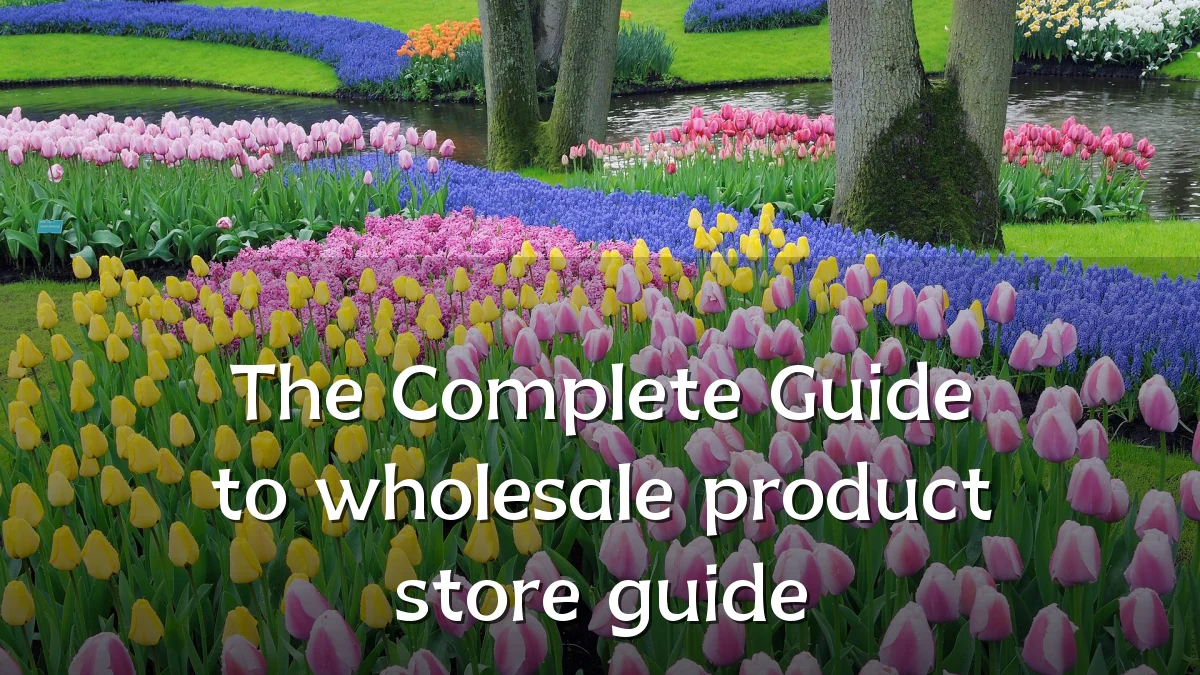 The Complete Guide to wholesale product store guide