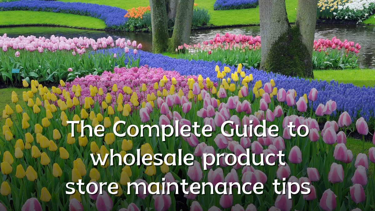 The Complete Guide to wholesale product store maintenance tips