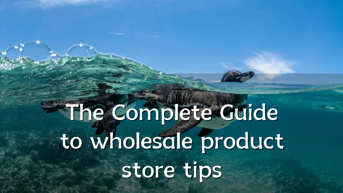 The Complete Guide to wholesale product store tips