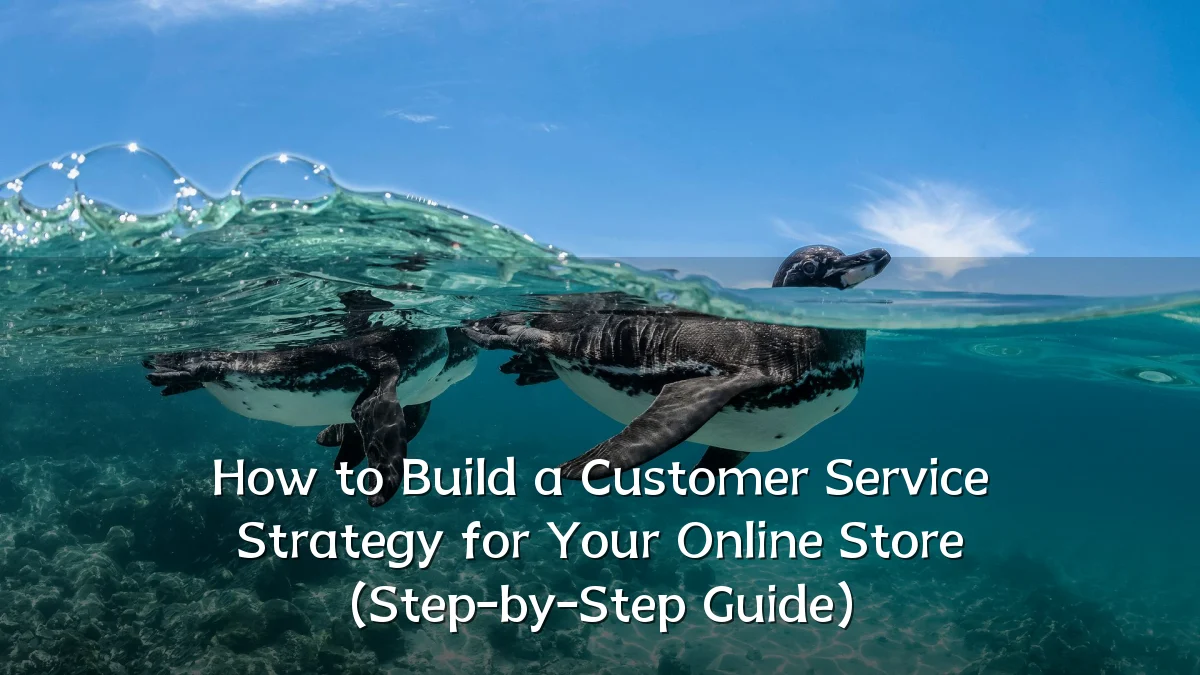 How to Build a Customer Service Strategy for Your Online Store (Step-by-Step Guide)