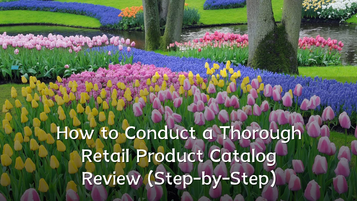 How to Conduct a Thorough Retail Product Catalog Review (Step-by-Step)