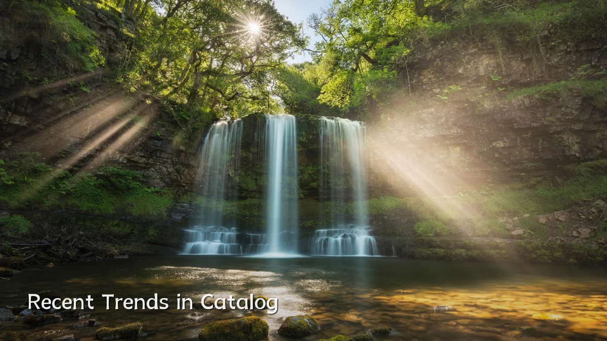 Recent Trends in Catalog