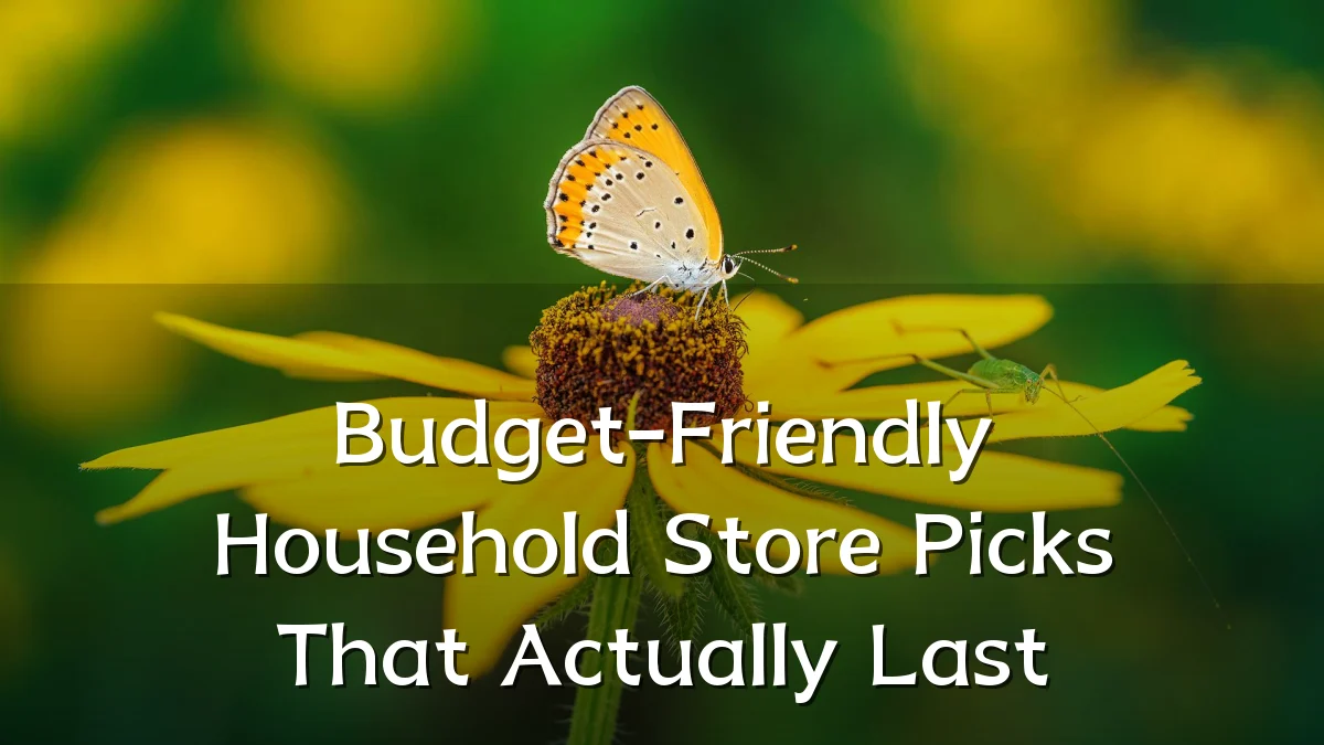 Budget-Friendly Household Store Picks That Actually Last