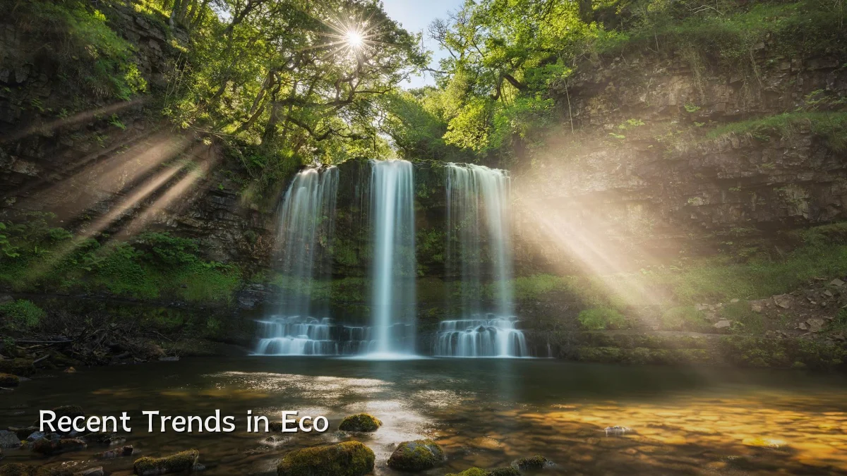 Recent Trends in Eco