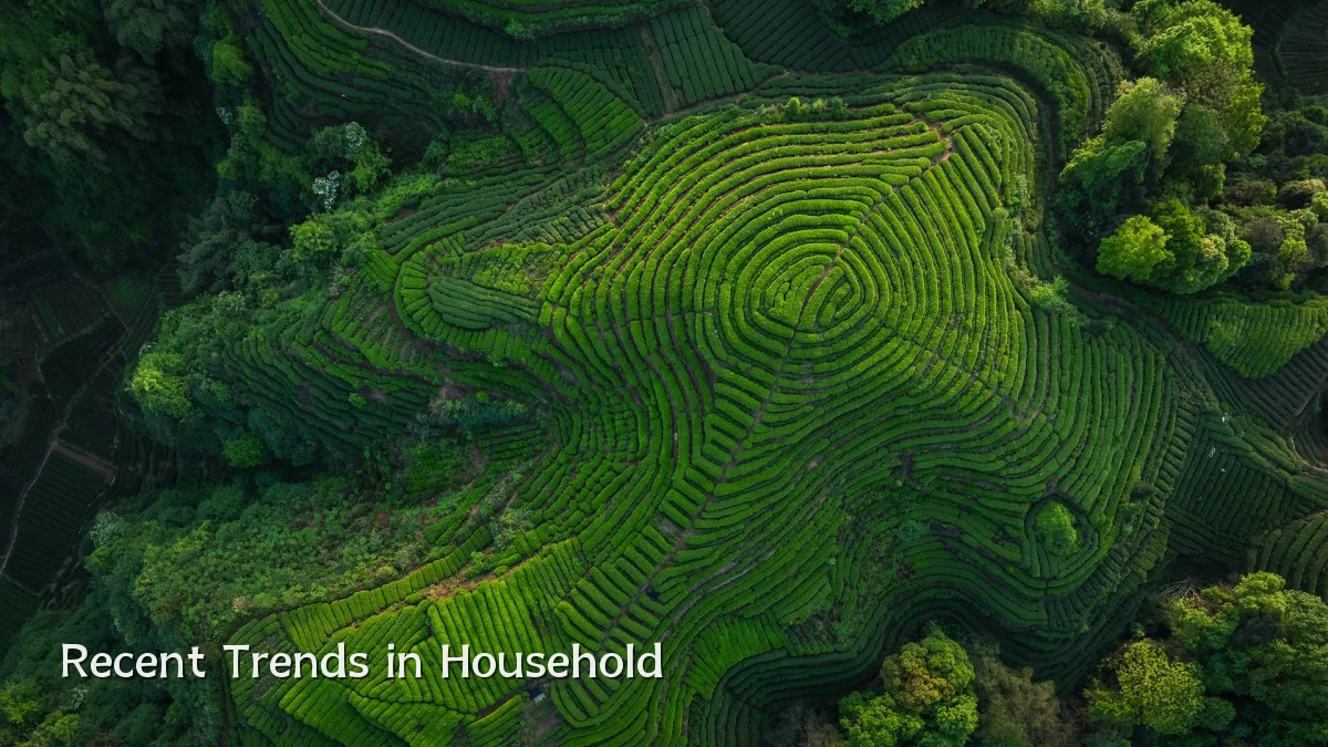 Recent Trends in Household