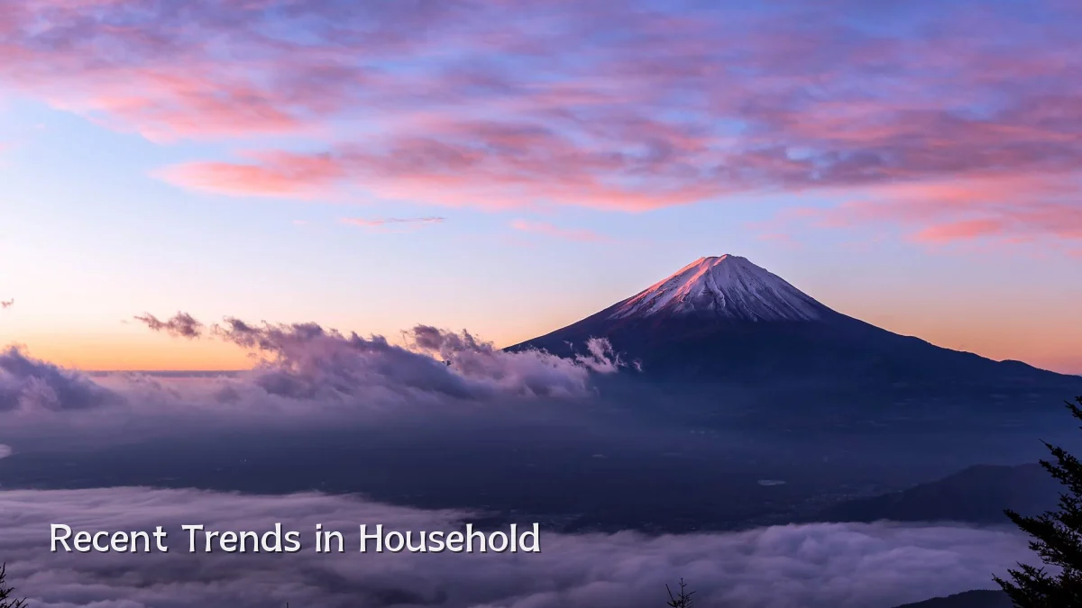 Recent Trends in Household