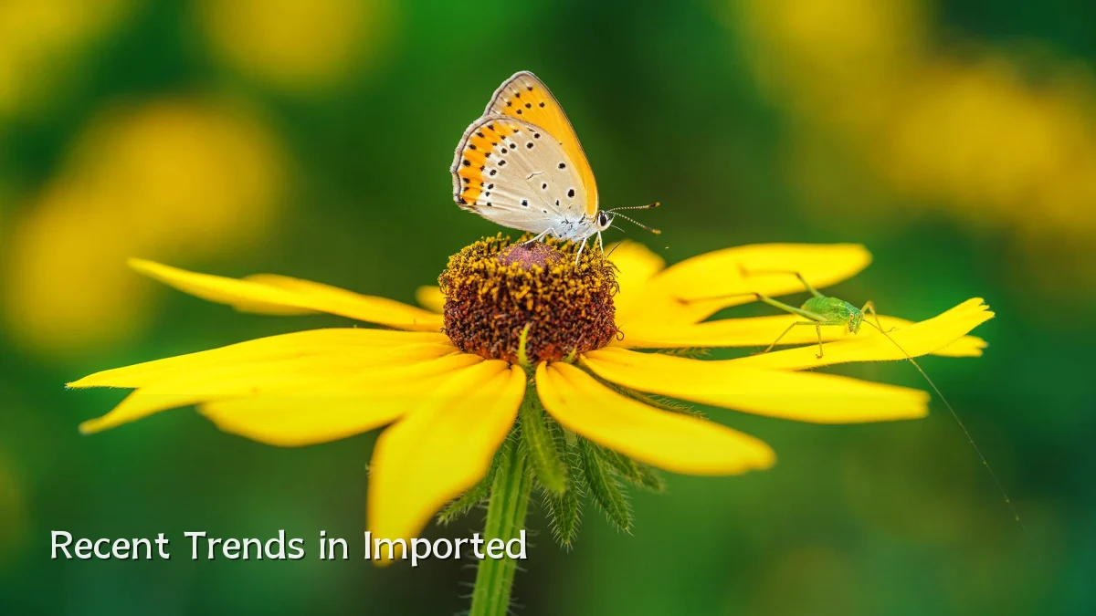 Recent Trends in Imported