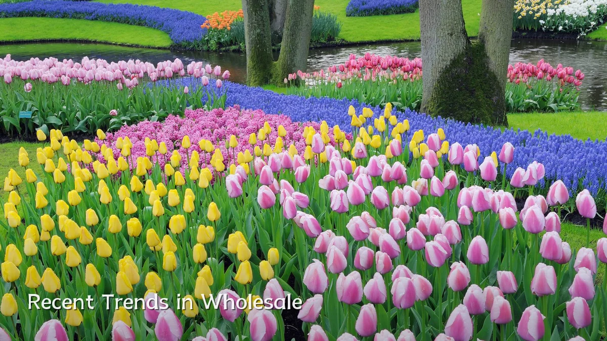 Recent Trends in Wholesale