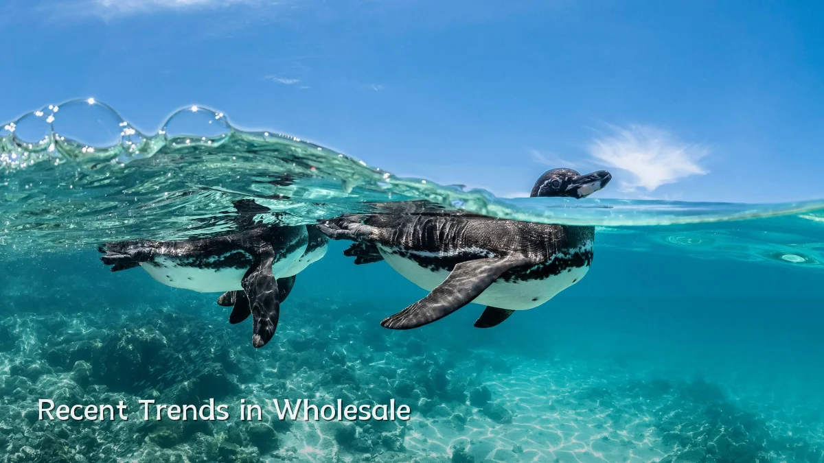 Recent Trends in Wholesale