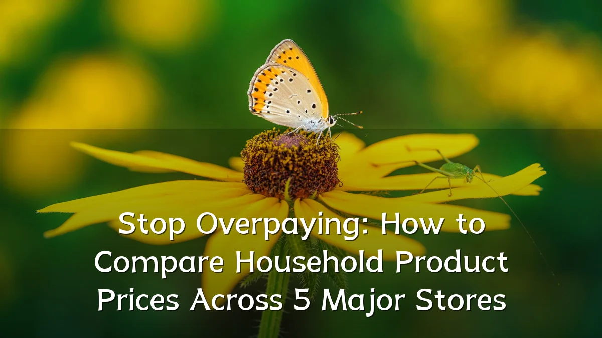 Stop Overpaying: How to Compare Household Product Prices Across 5 Major Stores
